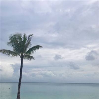 天子传说游戏下载
